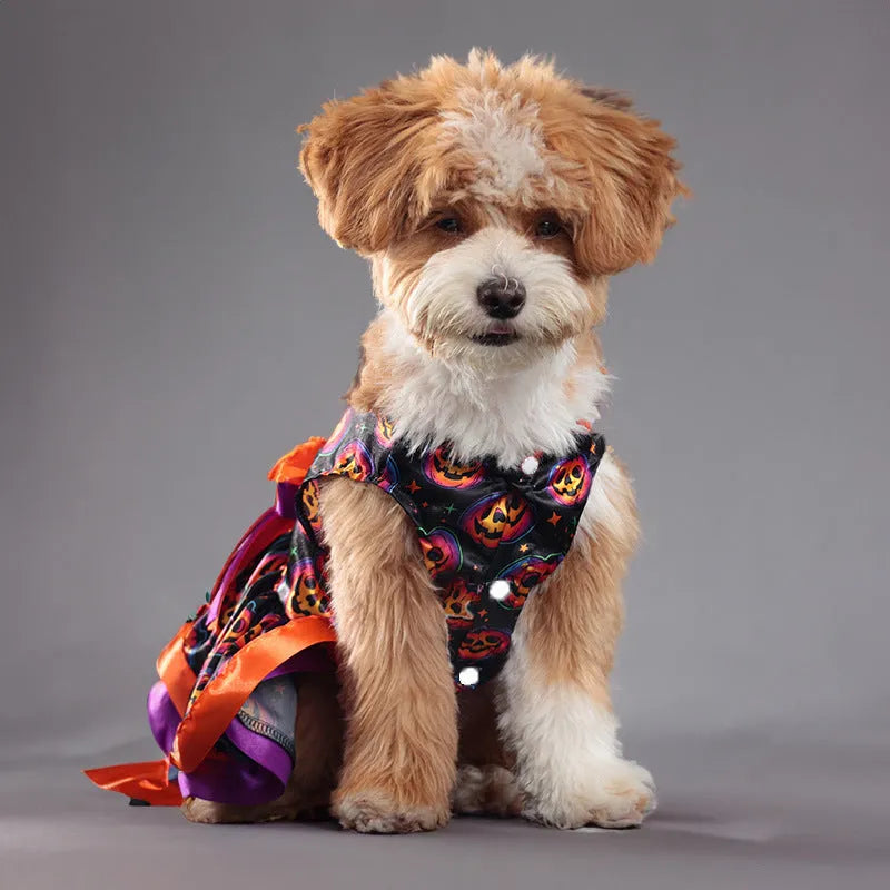Colourful double-layer Halloween skirt for dogs in pumpkin or skull print.