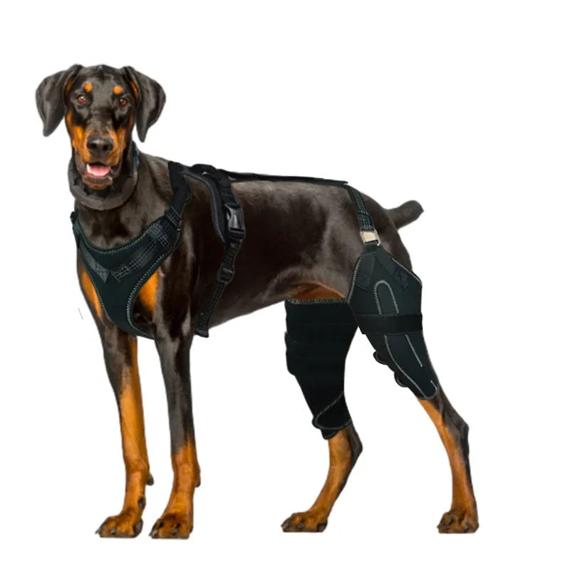 Black dog thigh protective sleeve with adjustable metal support frame for postoperative recovery