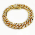 Hip hop pet collar in gold with alloy finish and 12.5cm width on a dog