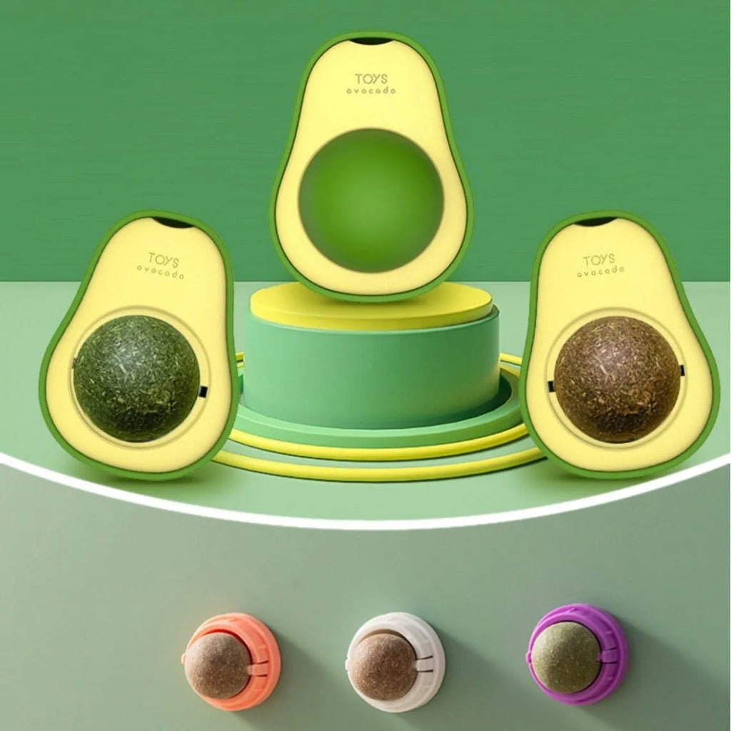 Plastic catnip ball toy in various colours with textured surface for molar teeth cleaning