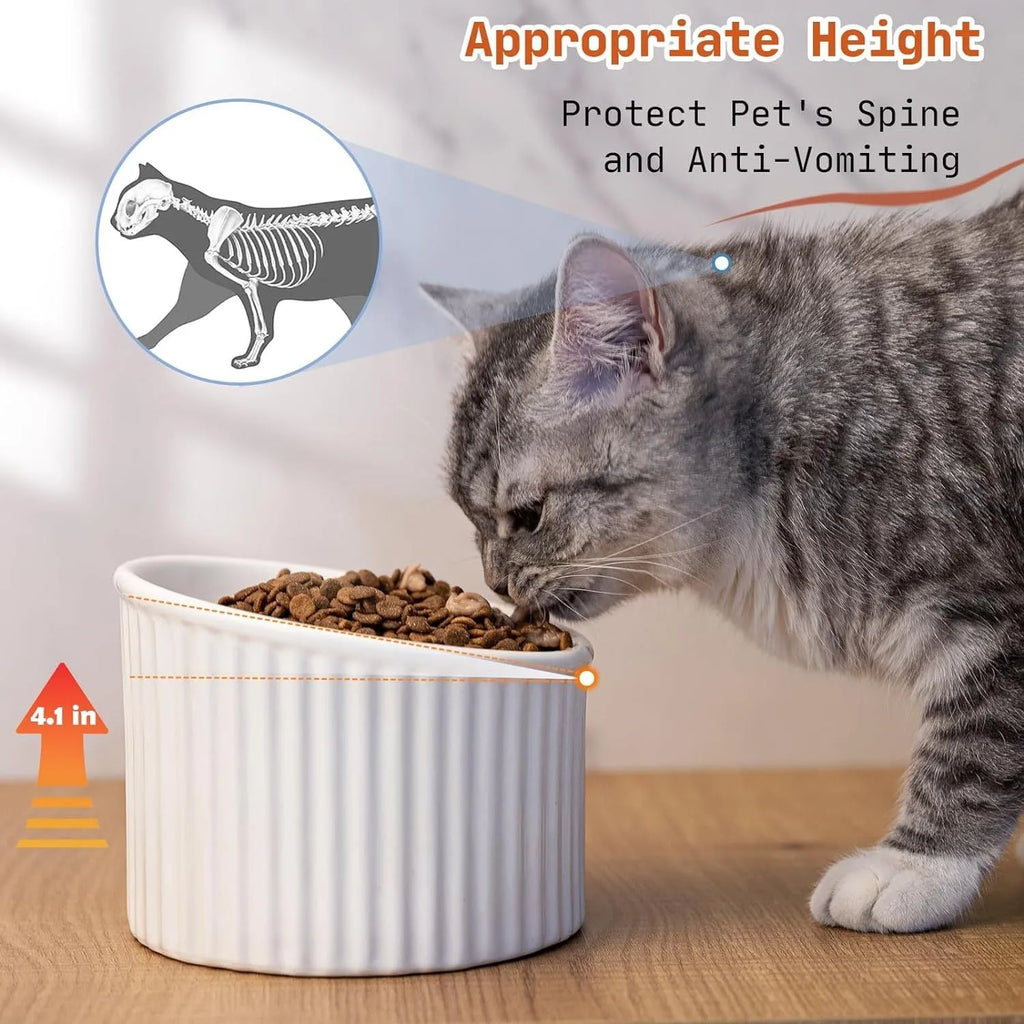 Elevated ceramic cat bowl in light green colour with tilted round design for comfortable feeding