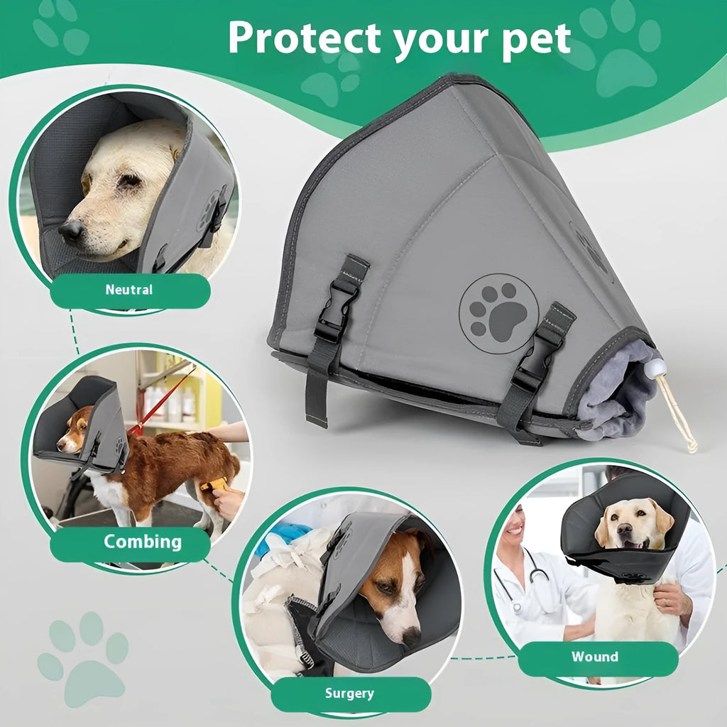 An adjustable polyester pet sterilisation collar or cone, shown in a casual style.