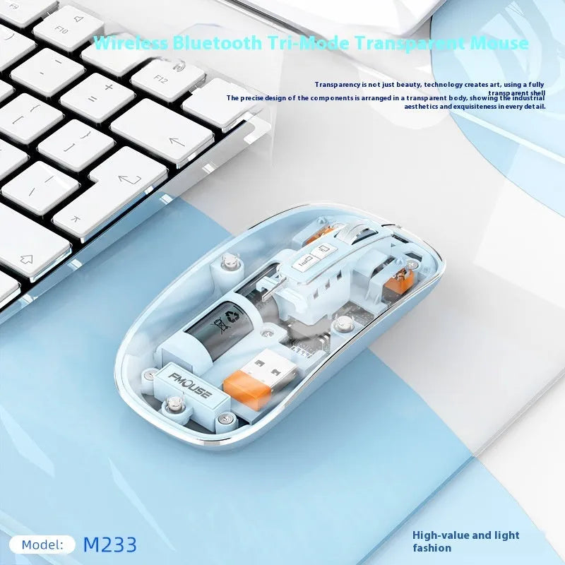 Transparent wireless computer mouse with USB connection showing internal components through plastic housing