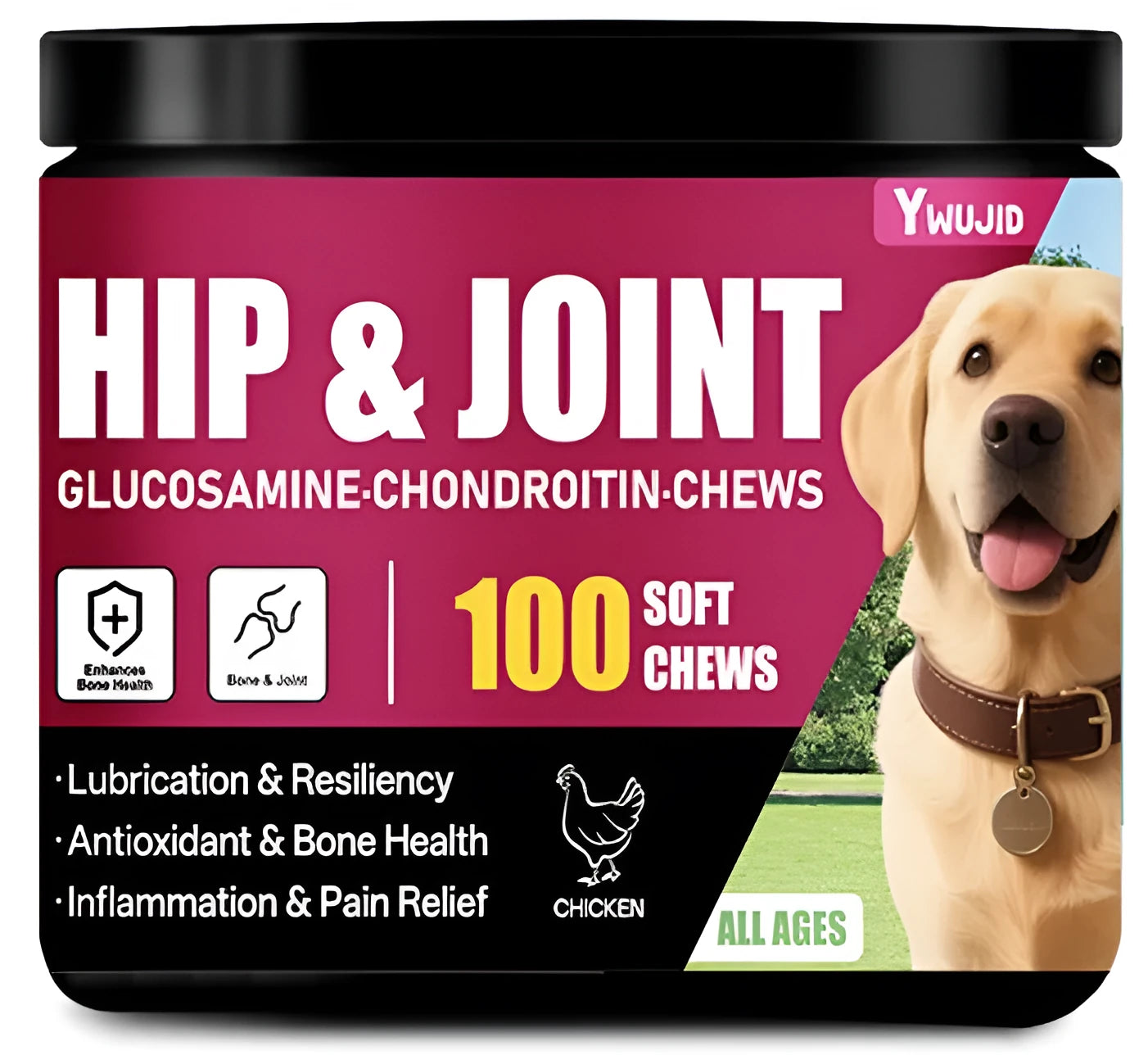 Canister of chondroitin chewable soft granules dietary supplement for bone and cartilage support