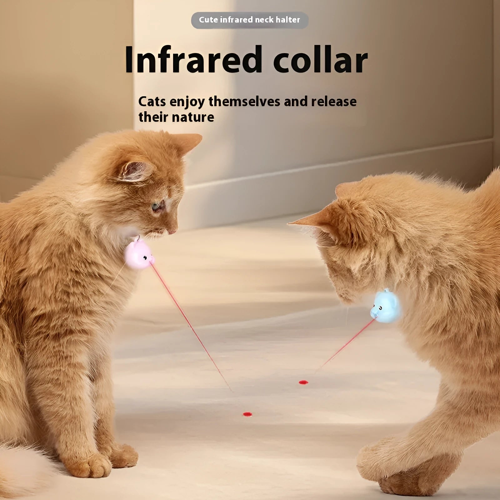 Rechargeable remote control cat infrared halter collar toy with adjustable strap, shown in pink and blue colour options