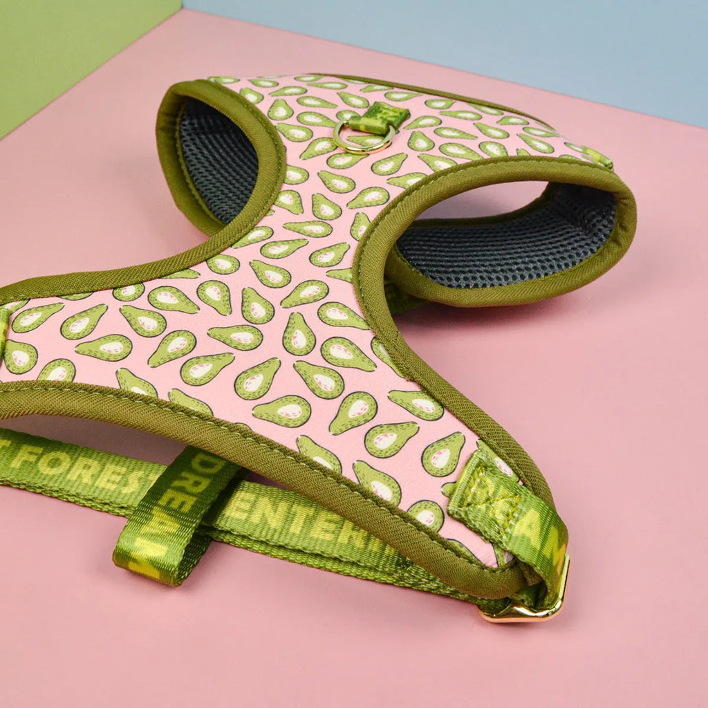 Summer colours dog harness and leash set for medium large dogs chest-back design