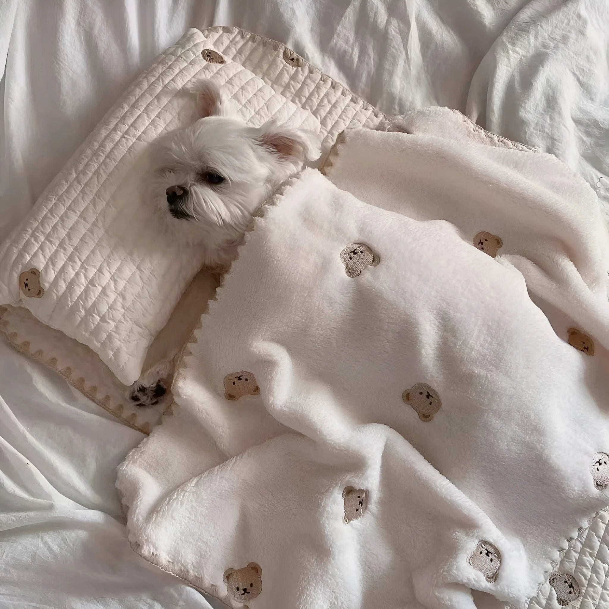 Simple Bear design three-piece dog bed set with pillow, mattress, and quilt in two size options.