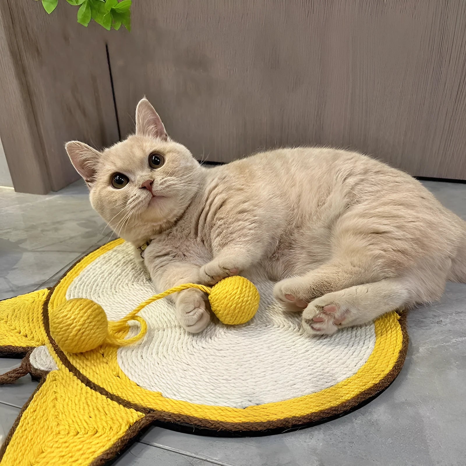 Yellow Corgi butt design sisal cat scratching pad with anti-slip base on a wooden floor.