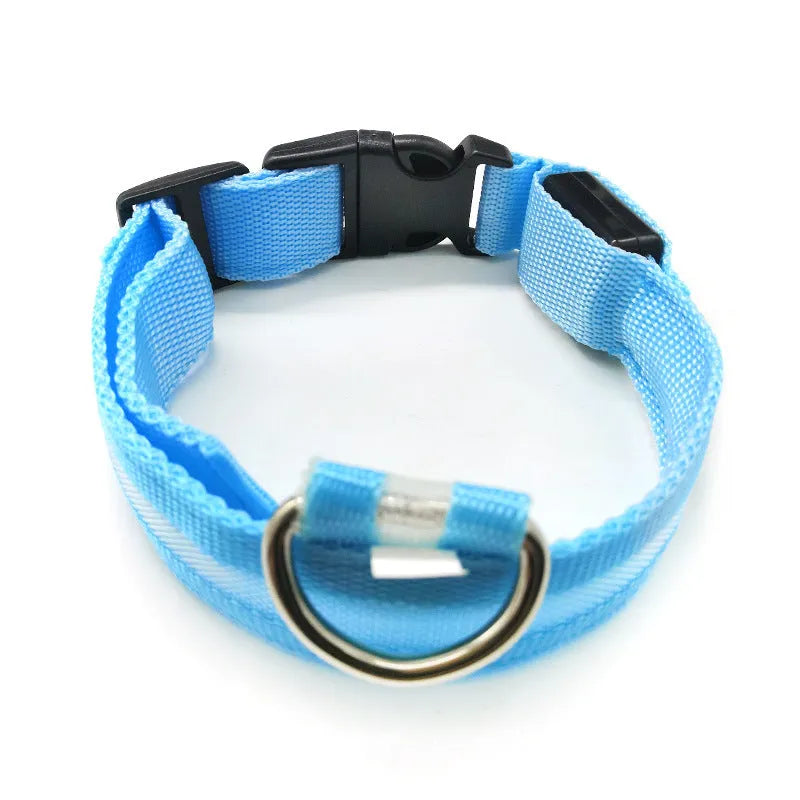 Anti-lost luminous dog collar nylon webbing with battery option in blue colour on white background