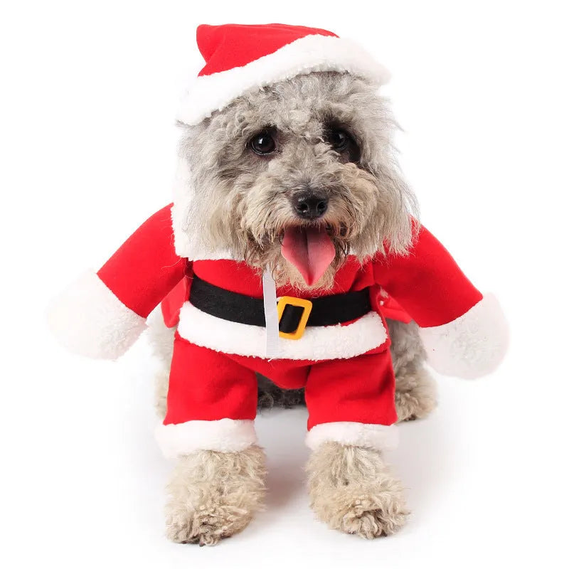 Red polar fleece Santa Claus costume for a small dog or cat, shown on a mannequin.