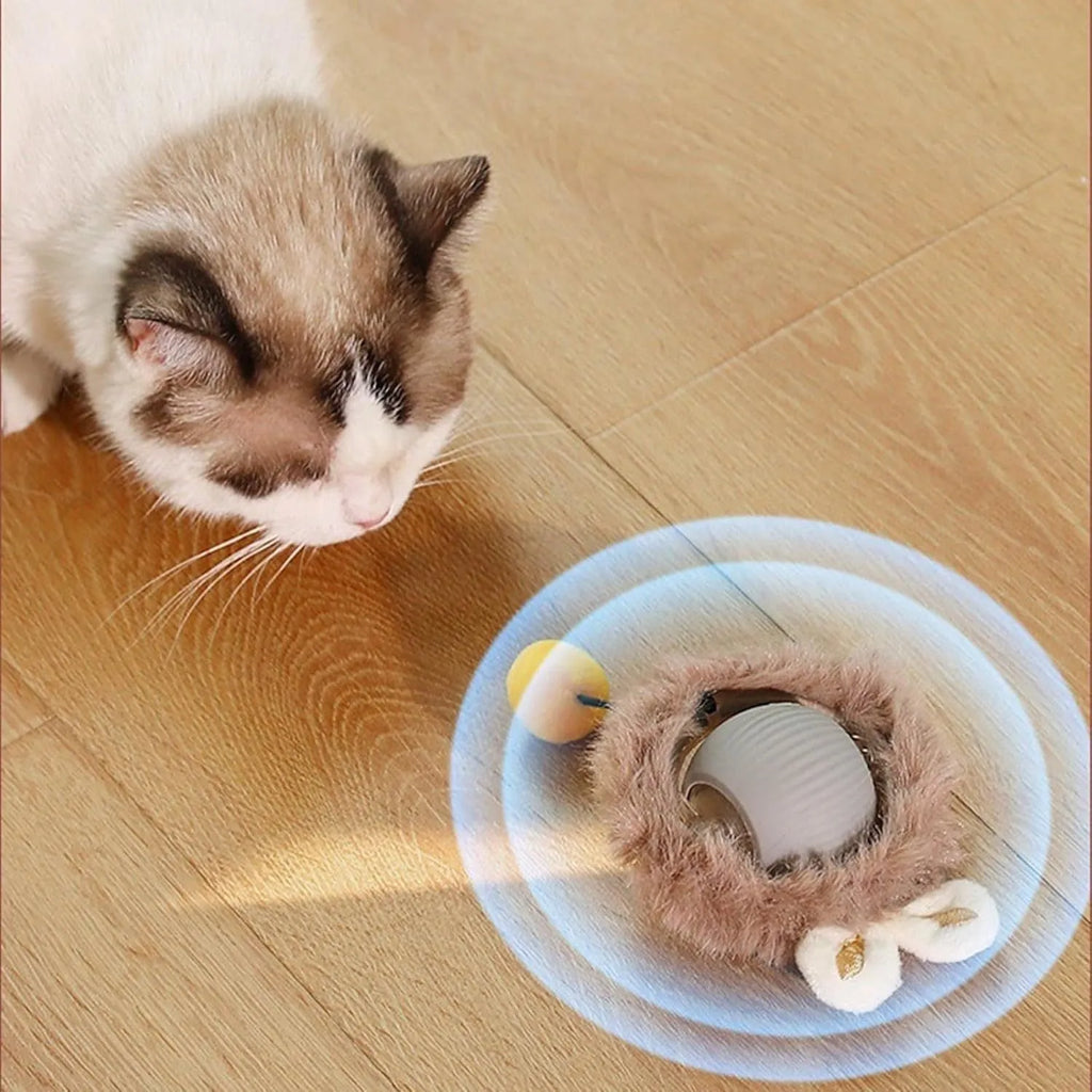 Automatic rotating pet ball toy in grey, green, or red colours with string attachment for dogs and cats