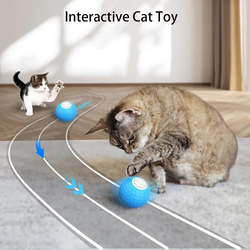 Remote control and a coloured ball cat toy on a floor