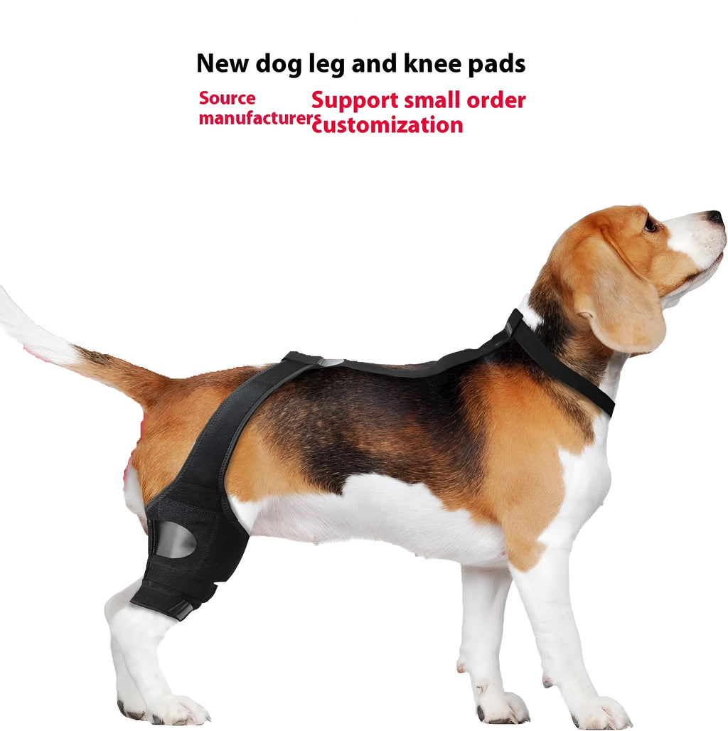 A neoprene dog hind leg knee brace assist strap shown in sky blue, wrapped around a canine leg model.