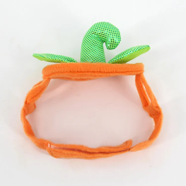 Yellow pumpkin Halloween pet costume with green leaf decoration on a cat wearing the hat and dress