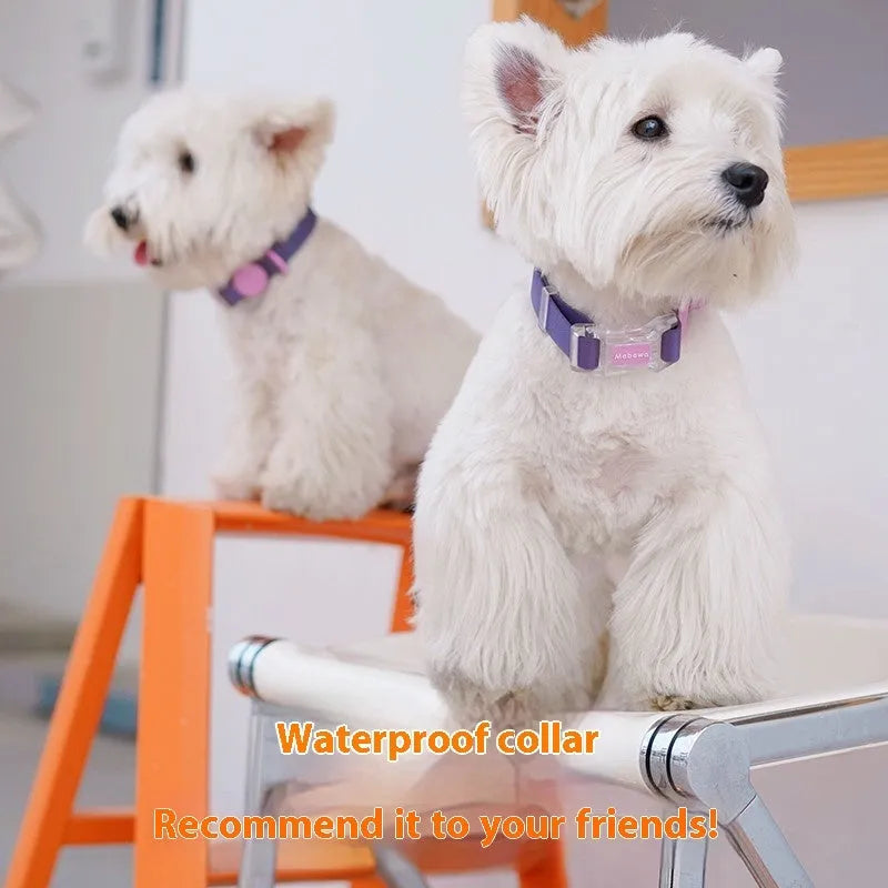 Nylon dog leash and collar set in choice of four colours with hand-holding rope.