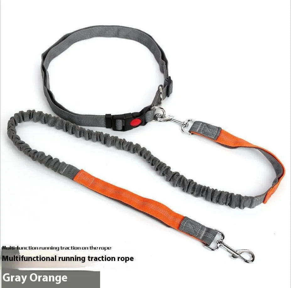 Grey and blue nylon dog leash with reflective filament and 2.5cm width.