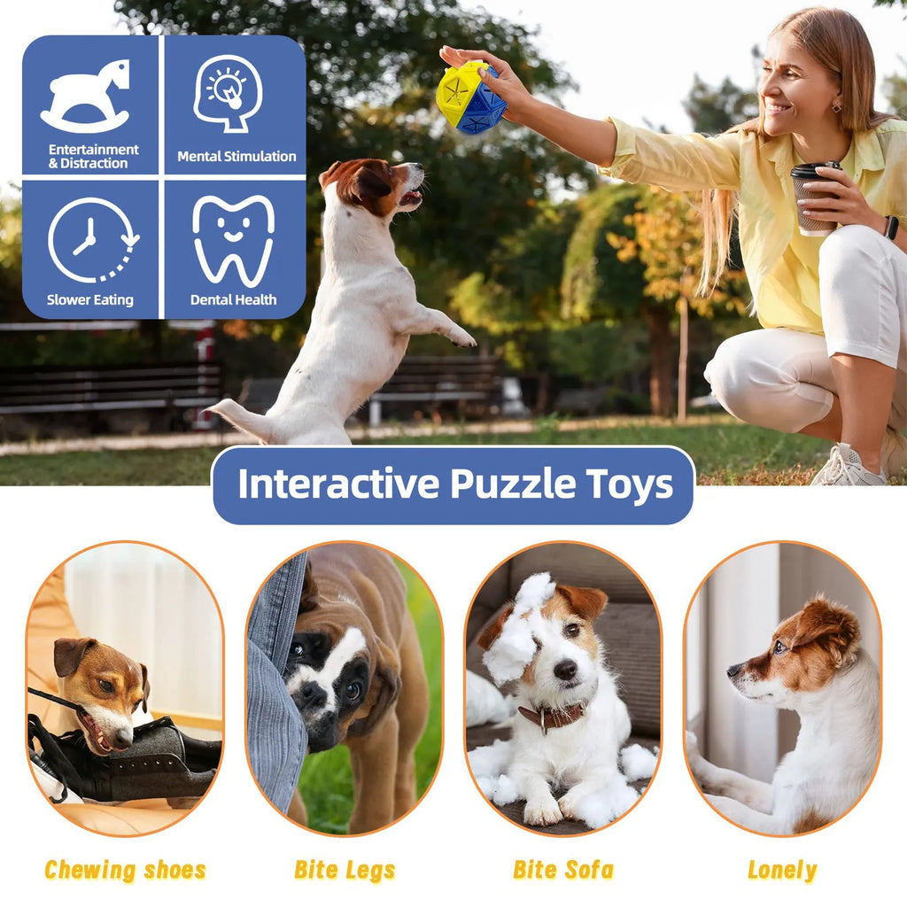 Blue bite-resistant hollow pet ball for interactive food dispensing with dogs