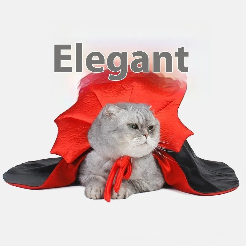 Black and red Halloween costume for cats and dogs with European and American styling