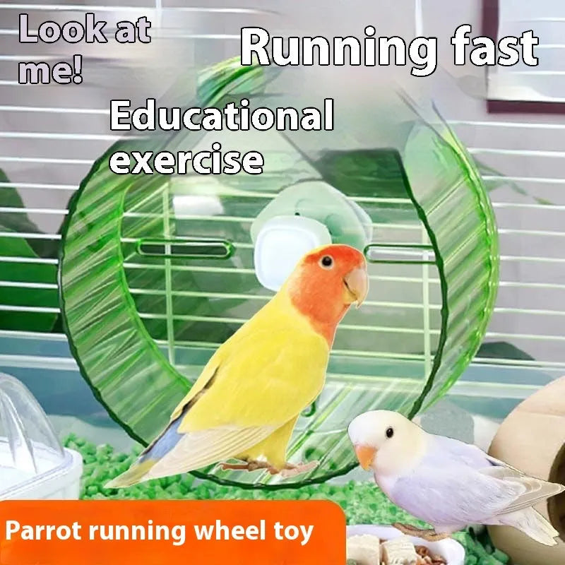 21cm diameter plastic parrot running wheel toy in transparent colour option for cage exercise.