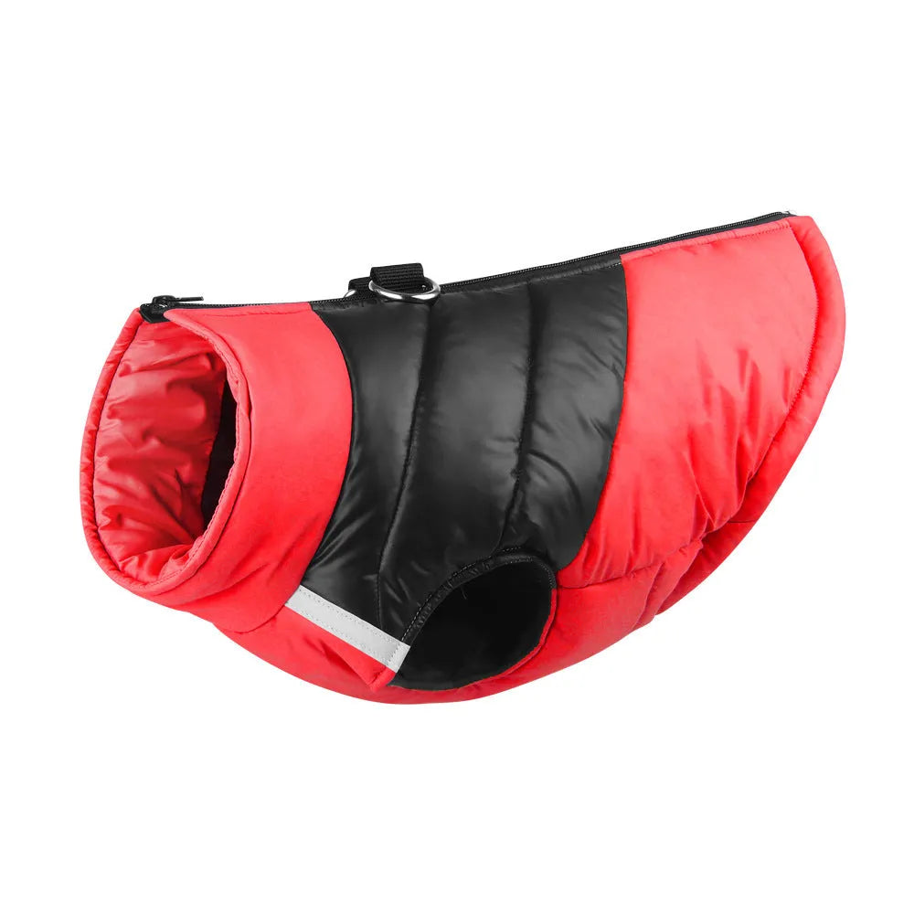 A dog wearing a blue waterproof padded winter coat with a front zip closure.