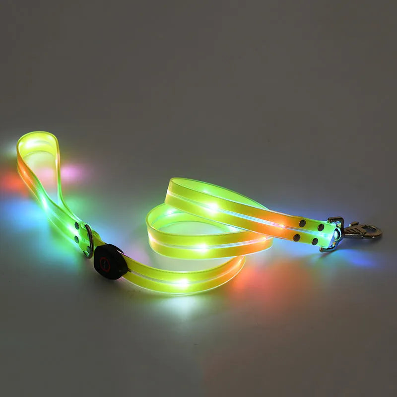 LED luminous pet collar and nylon tow rope with colourful light strips, rechargeable via USB, in black colour option