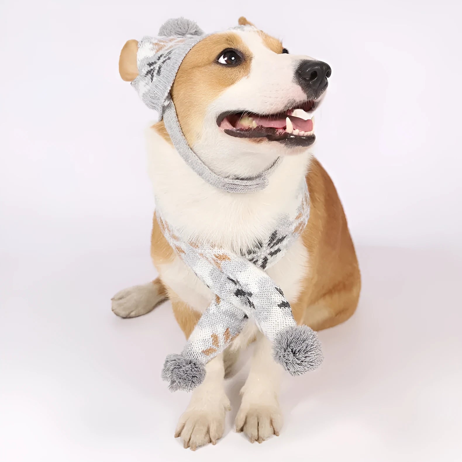 Japanese-style retro jacquard pet sweater, scarf and hat set in grey or pink colours for small dogs and cats