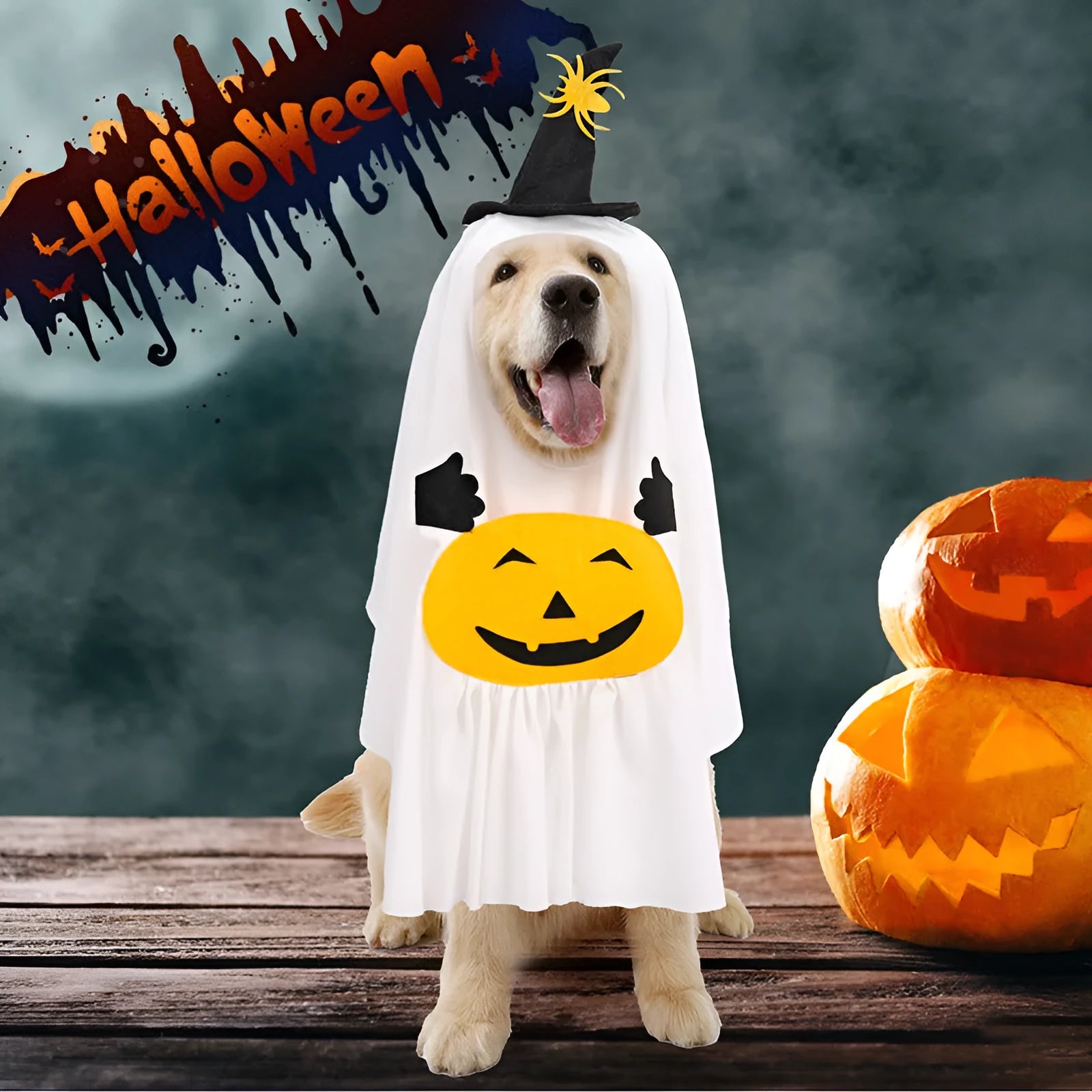 White pumpkin ghost costume for dog or cat on hanger