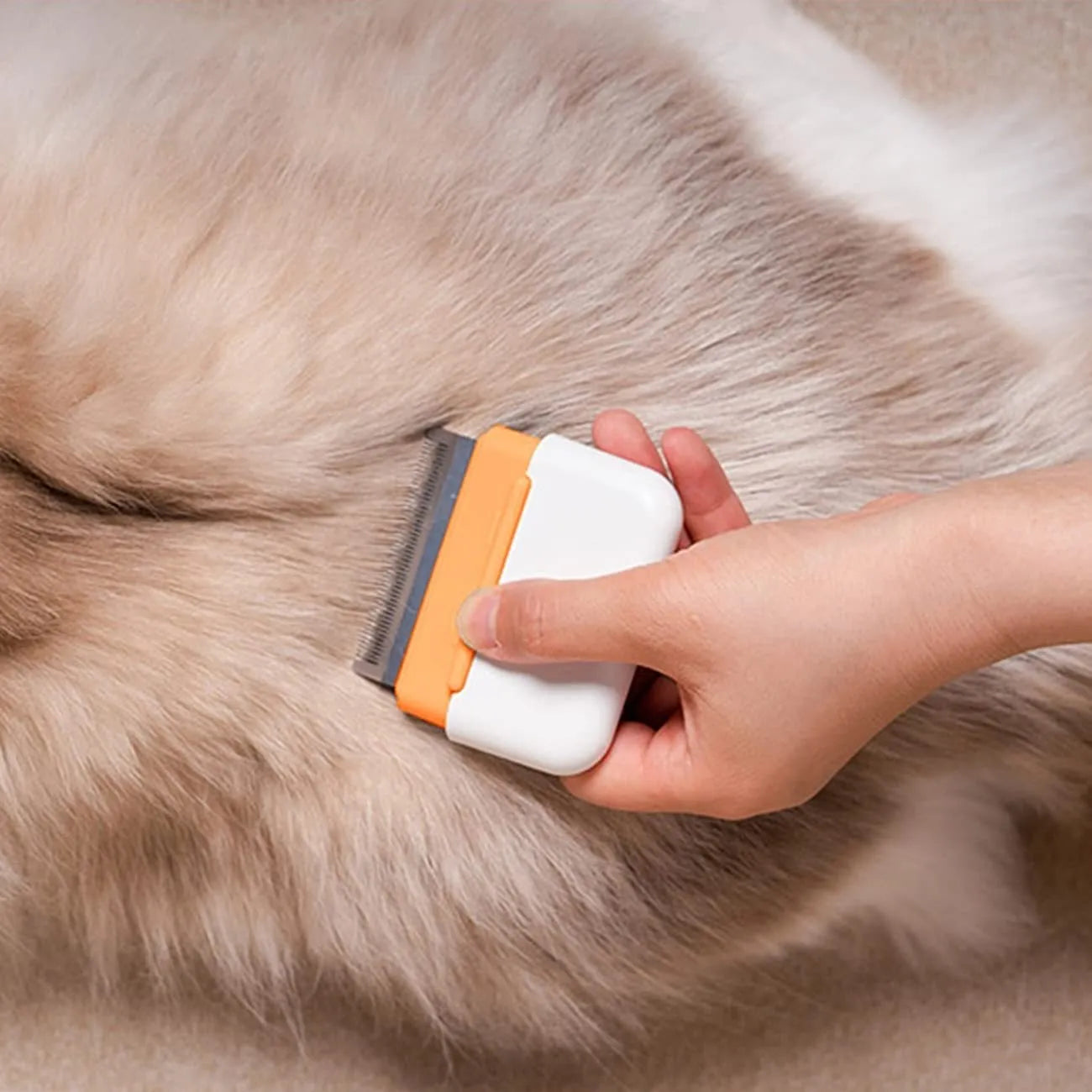 Blue double-sided pet grooming comb for deshedding and massage, shown next to a cat.