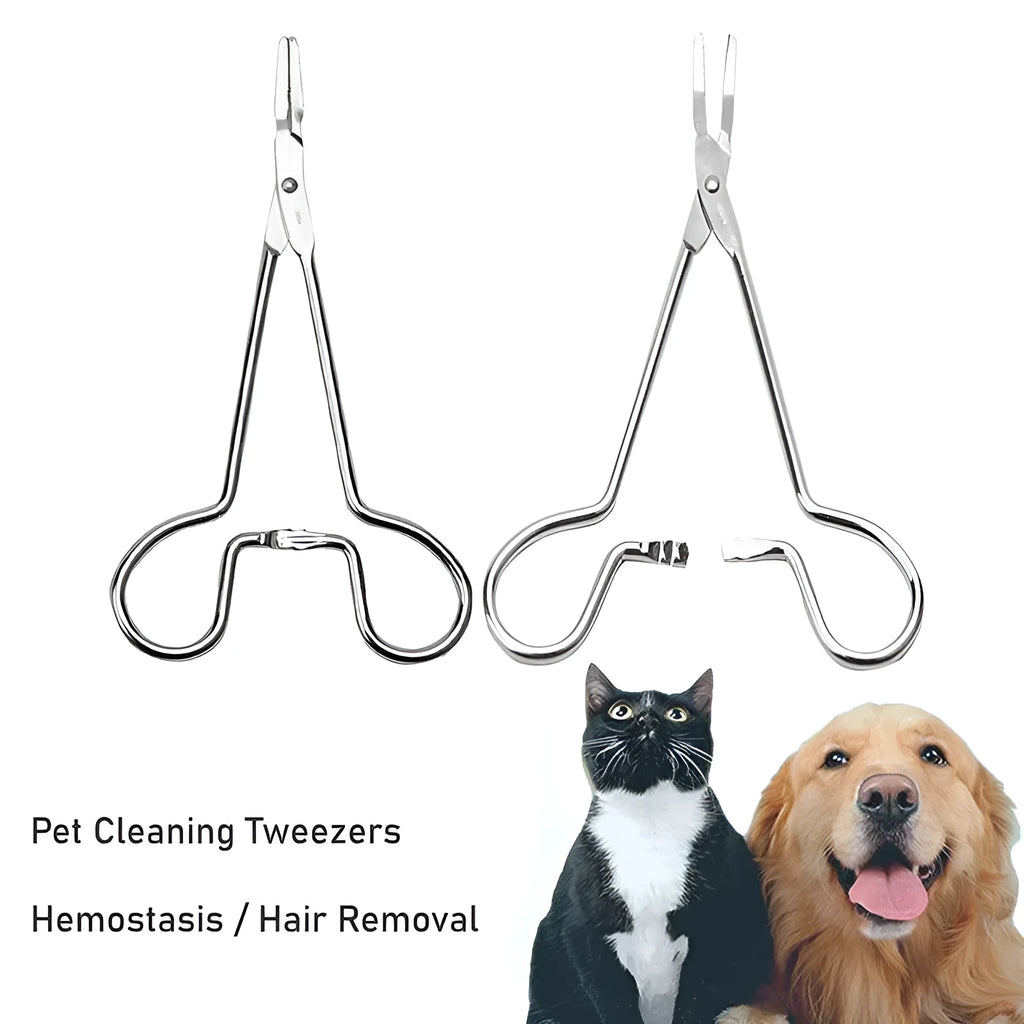 Silver stainless steel pet grooming tweezers with curved tip for ear hair removal