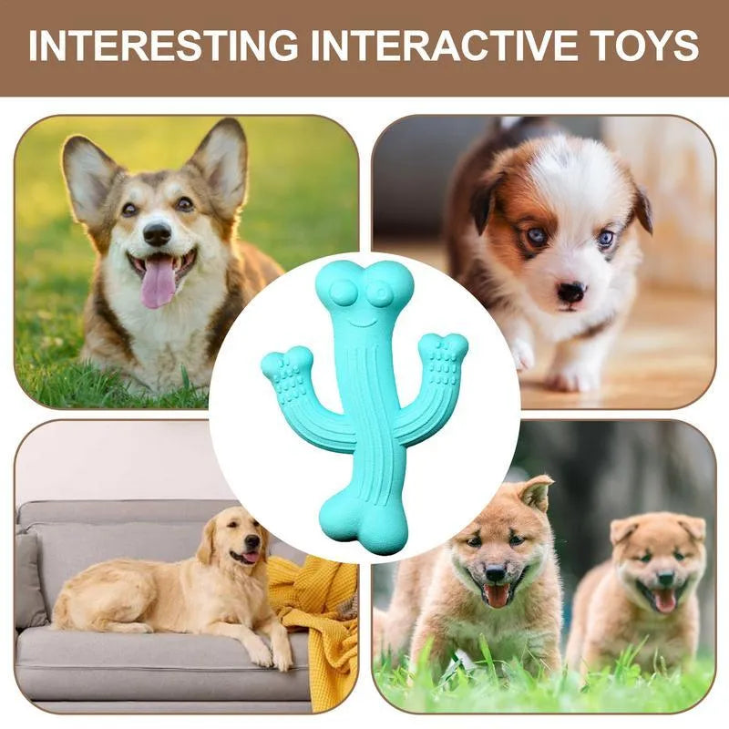 Cactus-shaped dog chew toy in beige, blue, or purple, made from bamboo fibre and rubber.
