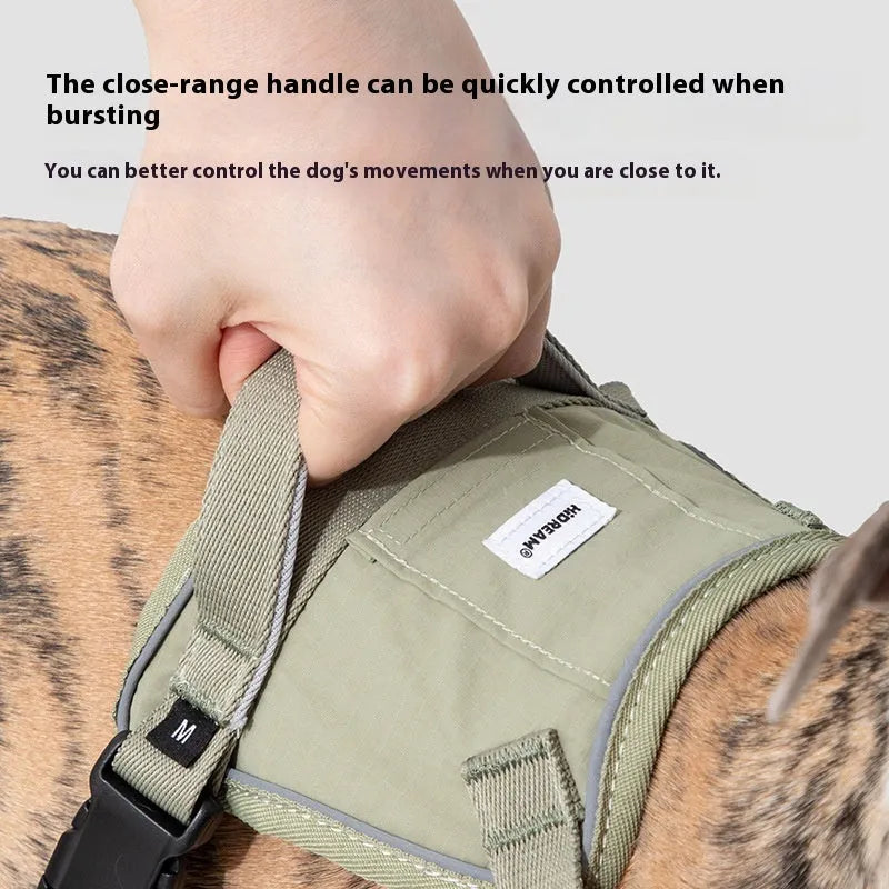 Dog chest back vest leash in buckwheat grey made from eco-friendly RPET and nylon with adjustable straps