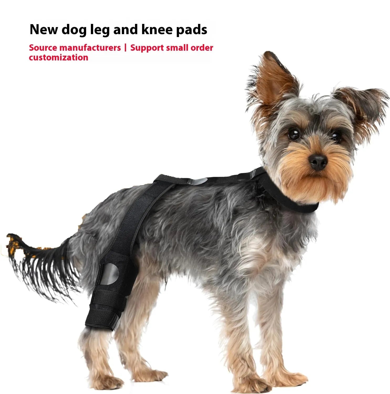 A neoprene dog hind leg knee brace assist strap shown in sky blue, wrapped around a canine leg model.