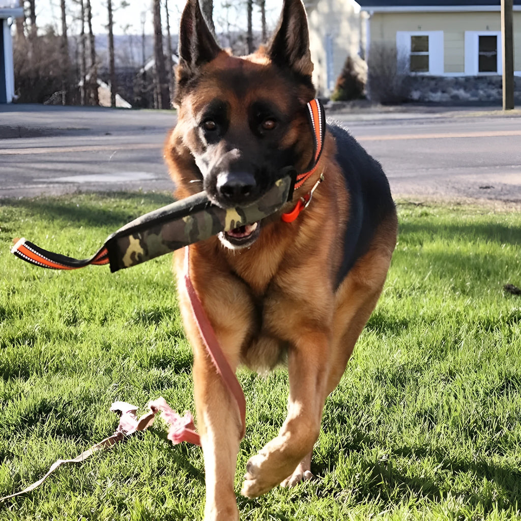 55cm long reflective yellow edge jute dog bite stick training toy