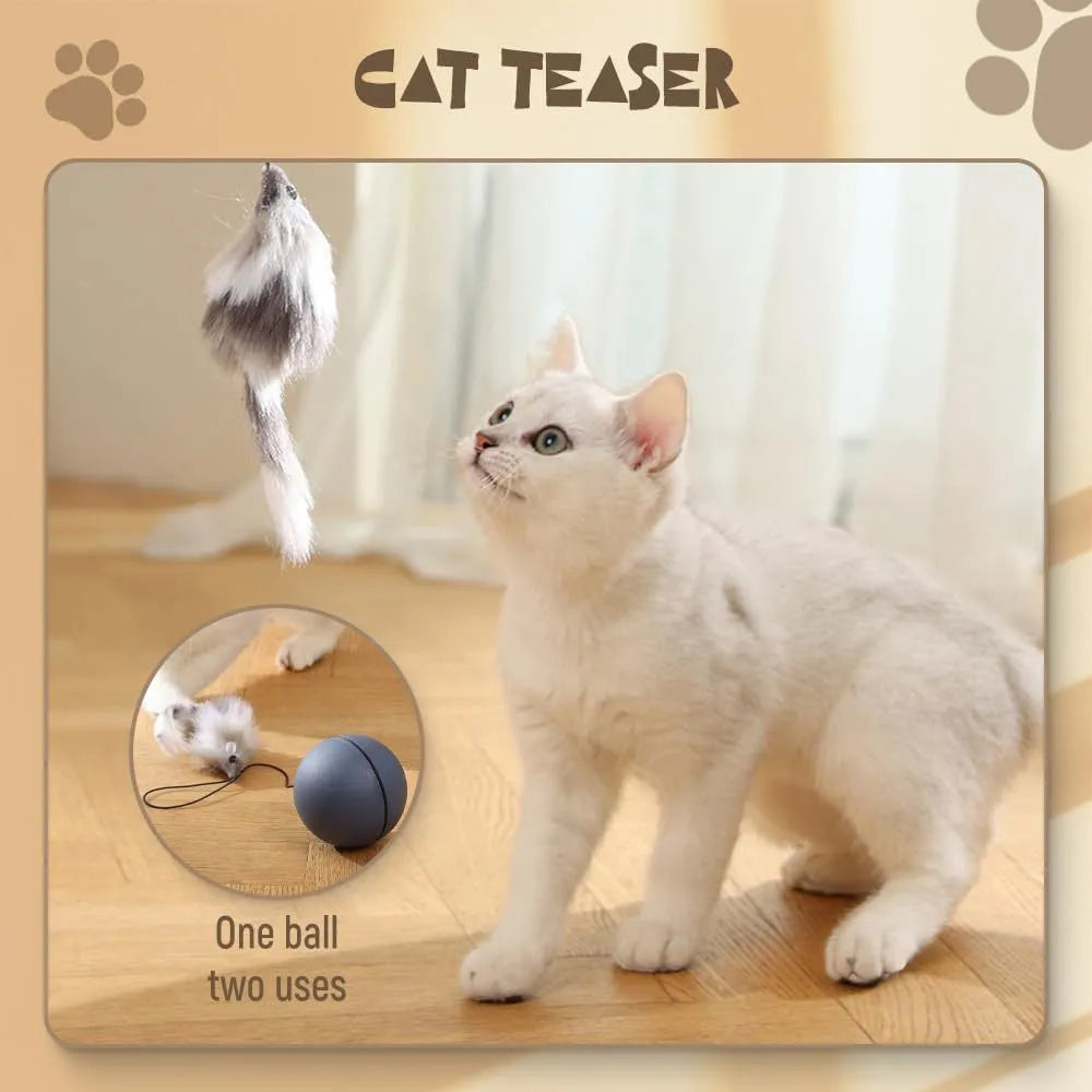 Automatic motion-activated rolling cat ball toy with blue and orange colour options
