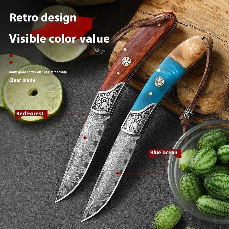 VG10 stainless steel mini folding pocket knife with blue or red dovetail handle