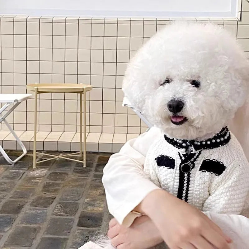 White Korean style dog sweater with pearl detail collar on a small dog, showing princess style pet clothing.
