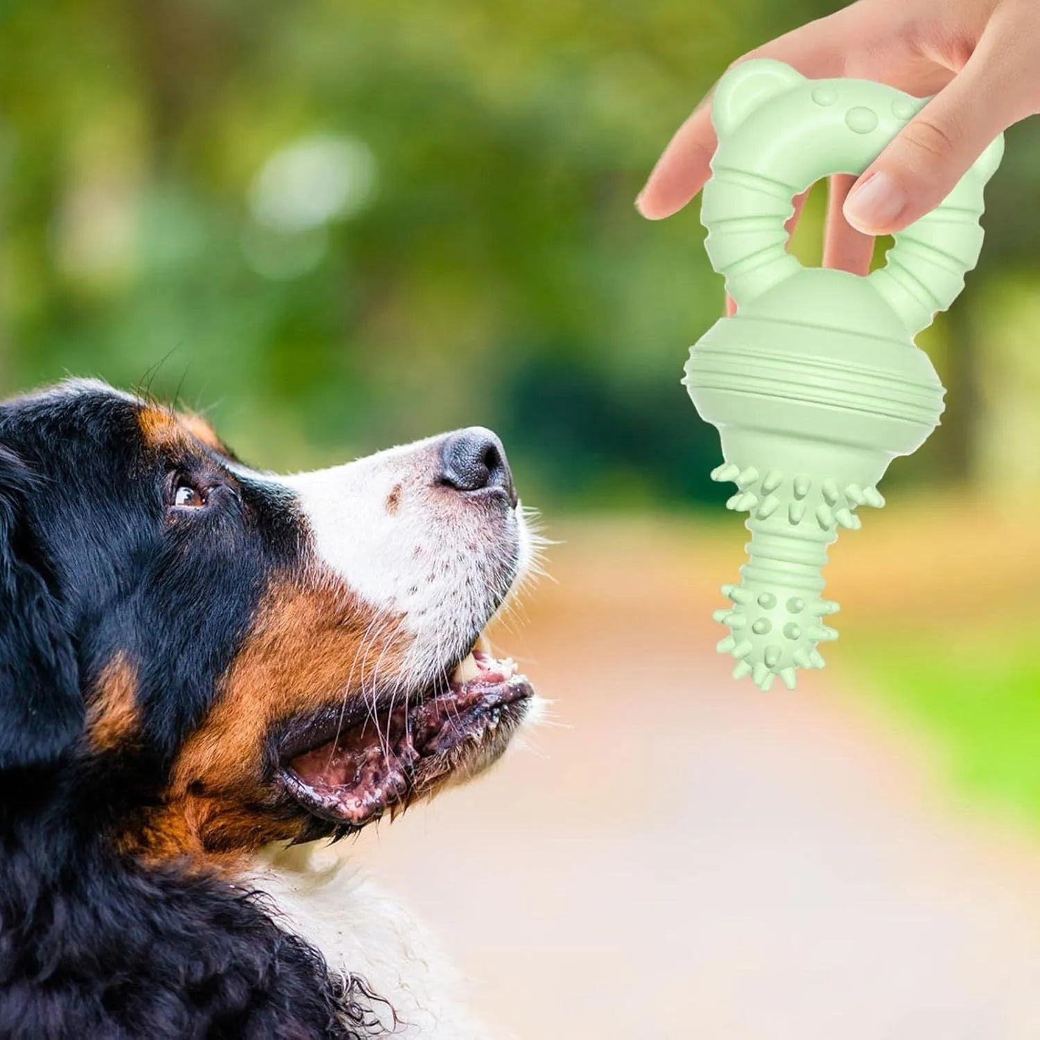 Blue rubber dog chew toy with textured surface for cleaning teeth, shown next to a measuring tape indicating 13.5cm diameter.