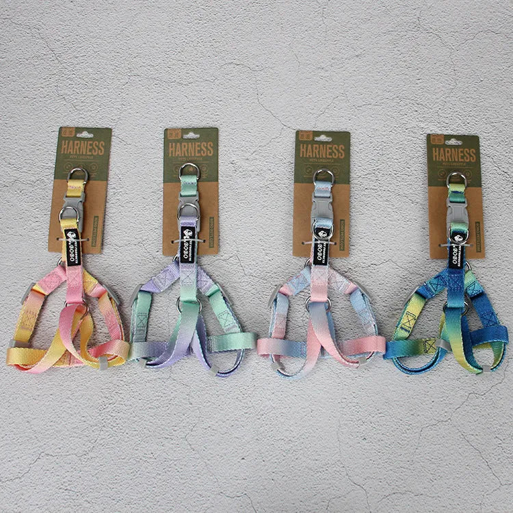 Nylon dog leash set showing gradient colour options including pink blue yellow purple green patterns