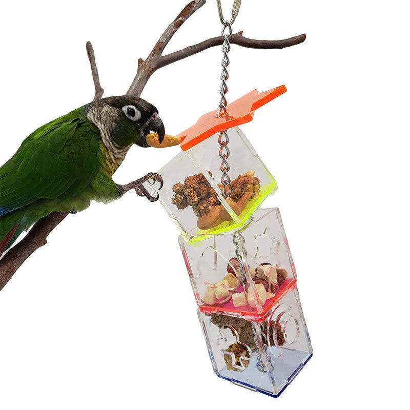 Clear acrylic parrot foraging toy for holding fruits and nuts, measuring 32 cm long.