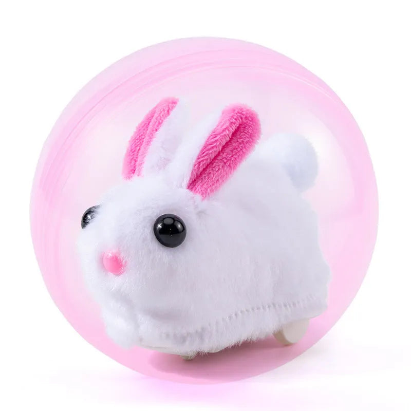 Small pet hamster rolling ball toy with transparent plastic sphere and removable plush shell.