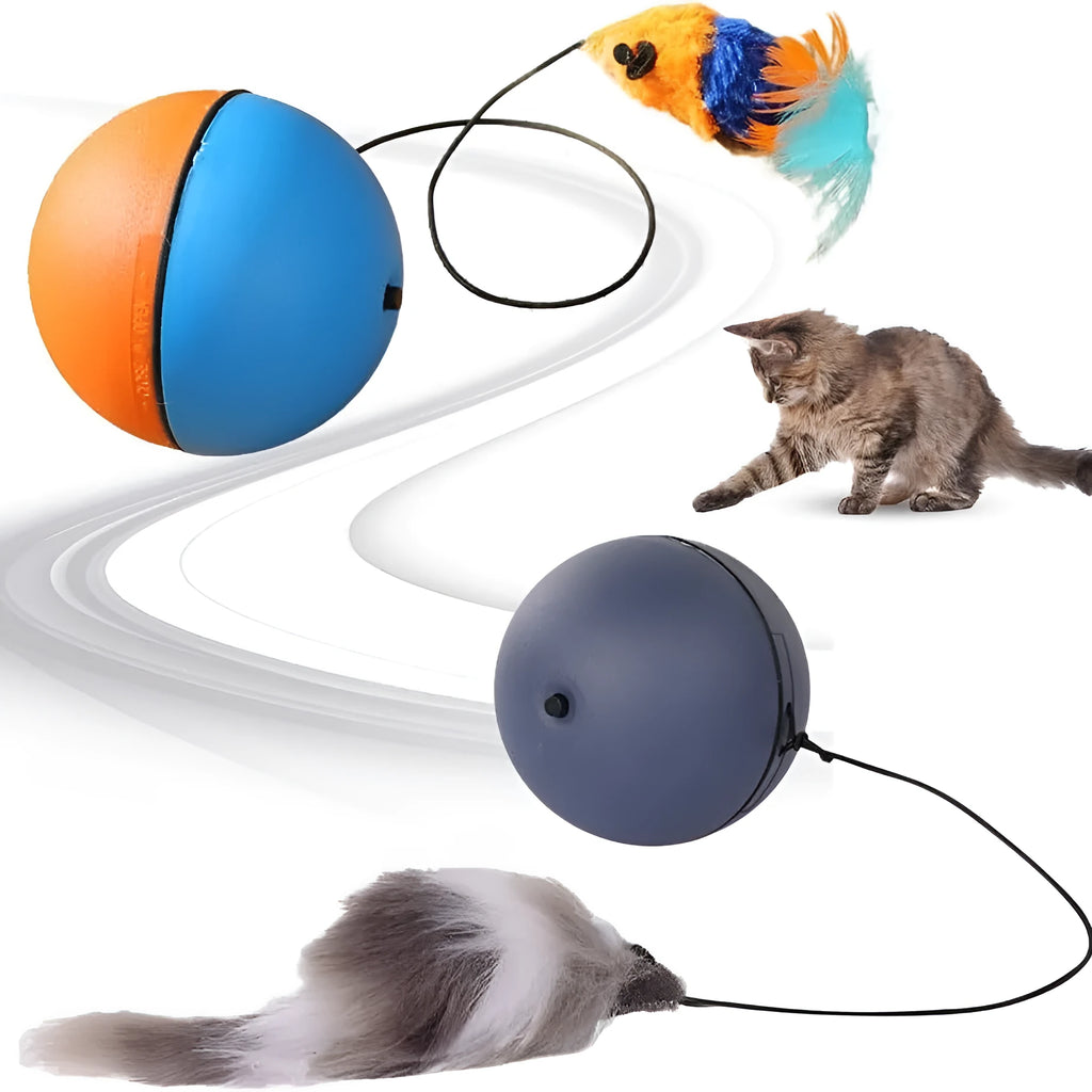 Automatic motion-activated rolling cat ball toy with blue and orange colour options