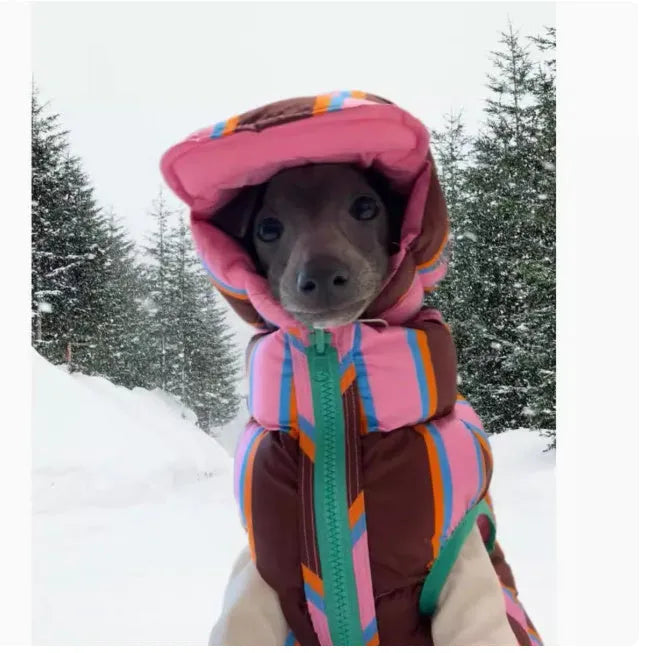 Striped knitted dog vest with matching hat in dirty pink colour for autumn and winter pet wear