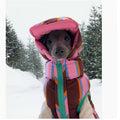 Striped knitted dog vest with matching hat in dirty pink colour for autumn and winter pet wear