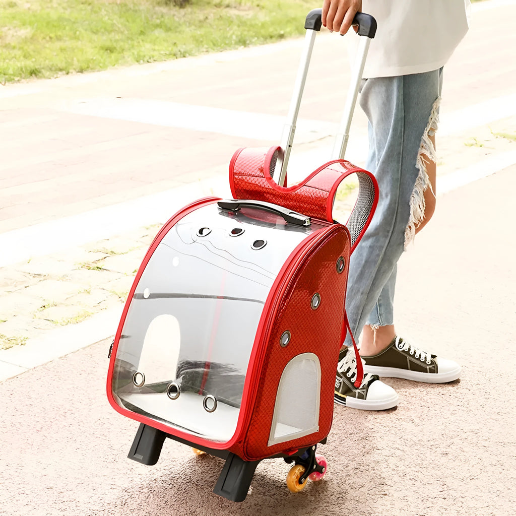Blue transparent pet trolley with folding cover next to its detachable Oxford cloth shoulder bag.