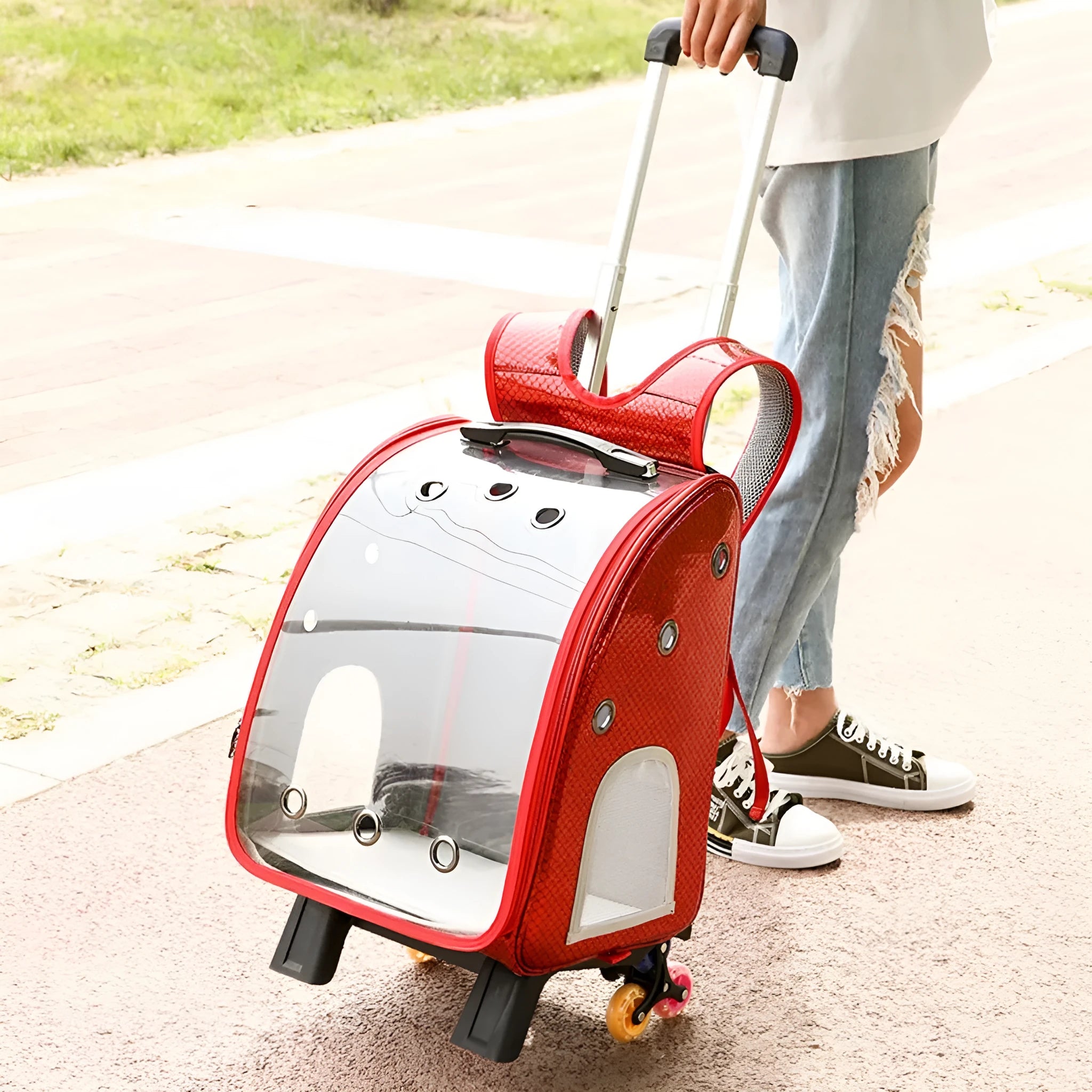 Blue transparent pet trolley with folding cover next to its detachable Oxford cloth shoulder bag.