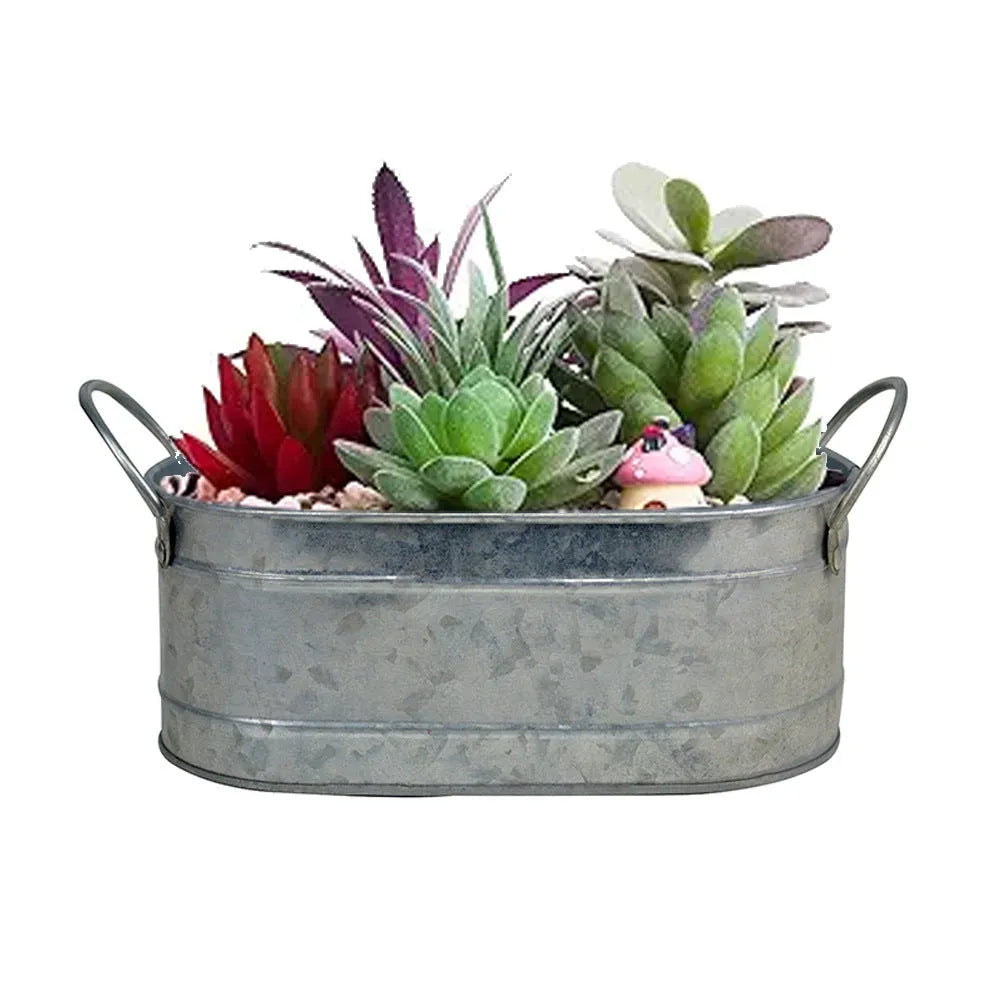 Iron sheet succulent flowerpot for desktop display with natural style design