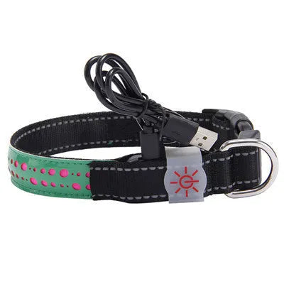 LED light pet collar USB rechargeable adjustable 40-60cm length 2.5cm width for dogs cats