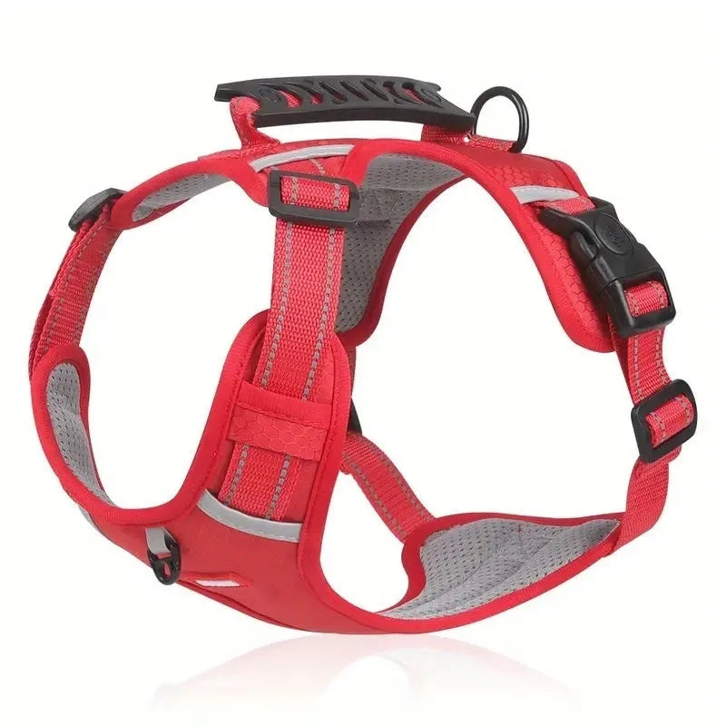 Polyester dog chest harness and lead set in various colours including red, blue, and yellow.