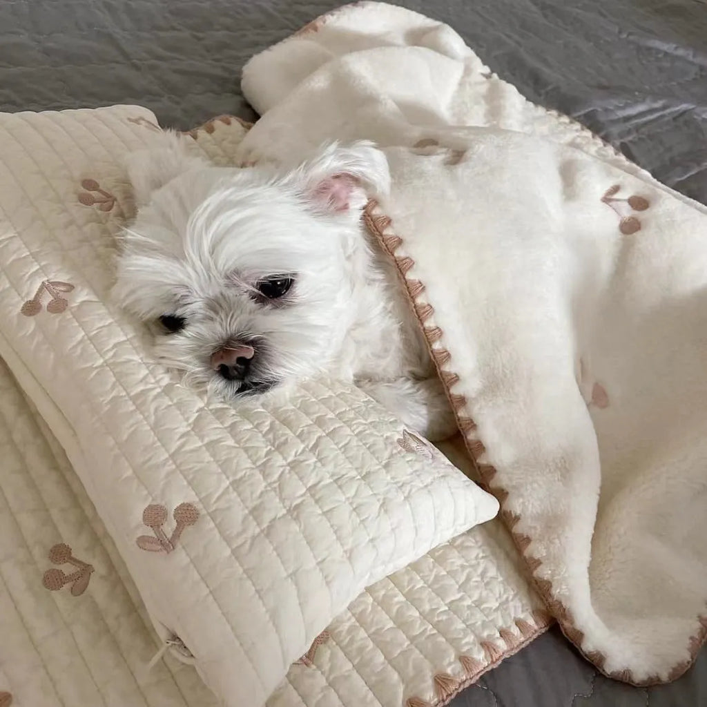 Simple Bear design three-piece dog bed set with pillow, mattress, and quilt in two size options.