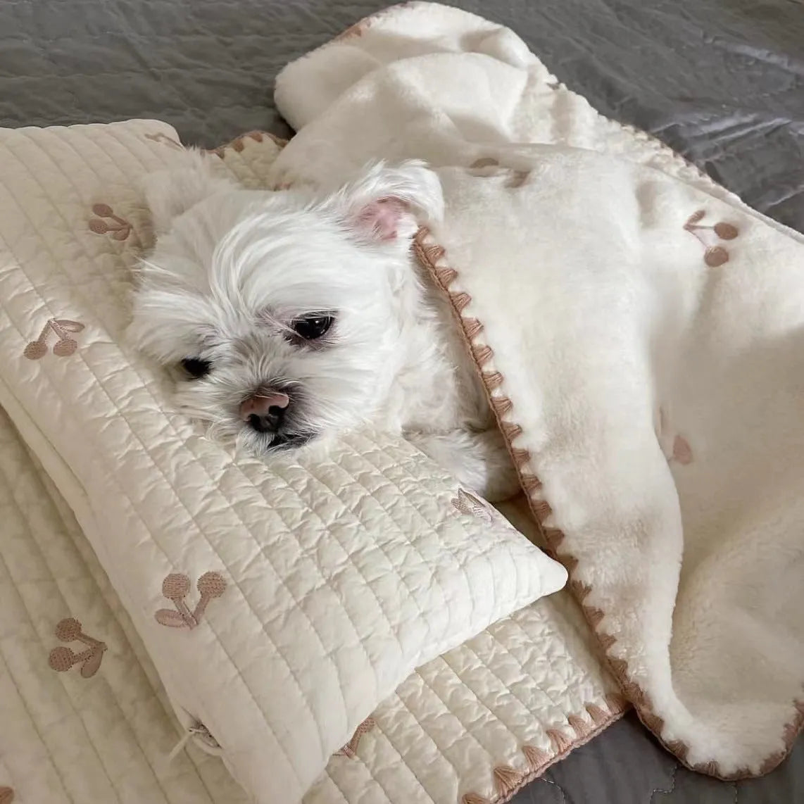 Simple Bear design three-piece dog bed set with pillow, mattress, and quilt in two size options.